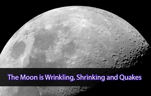 The Moon is Wrinkling, Shrinking and Quakes