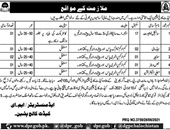 Head Mali new Jobs in Cadet College in Quetta  