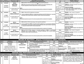 Medical Specialist new Jobs in Mines and Minerals Department Via (Punjab Public Service Commission (PPSC))
