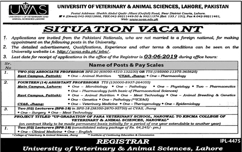 Get a Latest Jobs In University Of Veterinary & Animal Sciences 2019