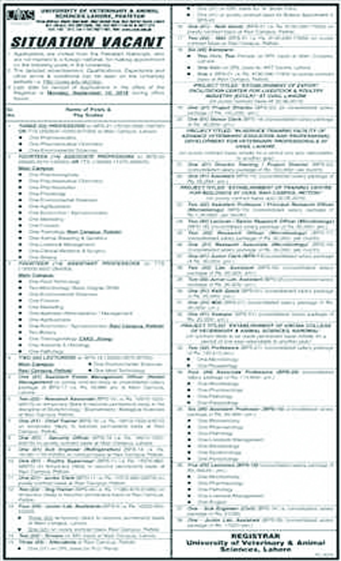 Job In University Of Veterinary And Animal Sciences Lahore 13 Aug 2018 
