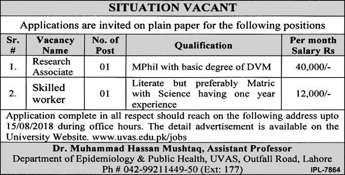 Job In University Of Veterinary And Animal Sciences Lahore 6 Aug 2018