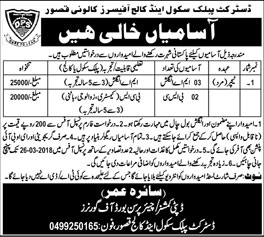 Jobs in District Public School and College in Kasur 10 March 2018