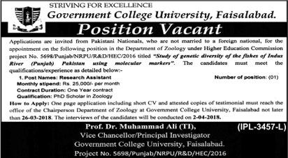 Jobs in Govt College University Faisalabad 17 March 2018