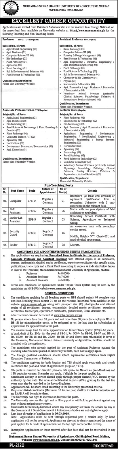 Jobs in Muhammad Nawaz Sharif University of Agriculture in Multan 19 Feb 2018
