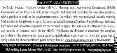 Jobs in Punjab Planning and Development Department 19 Feb 2018