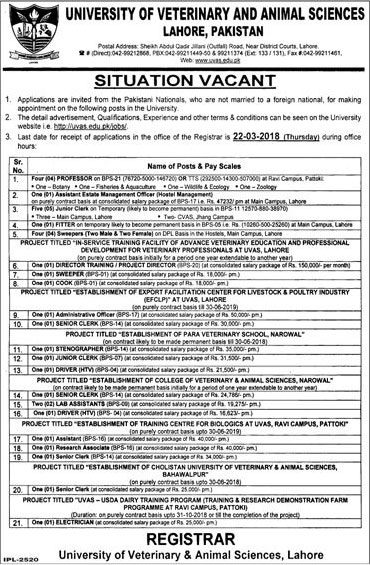 Jobs in University of Veterinary and Animal Sciences Lahore 27 Feb 2018