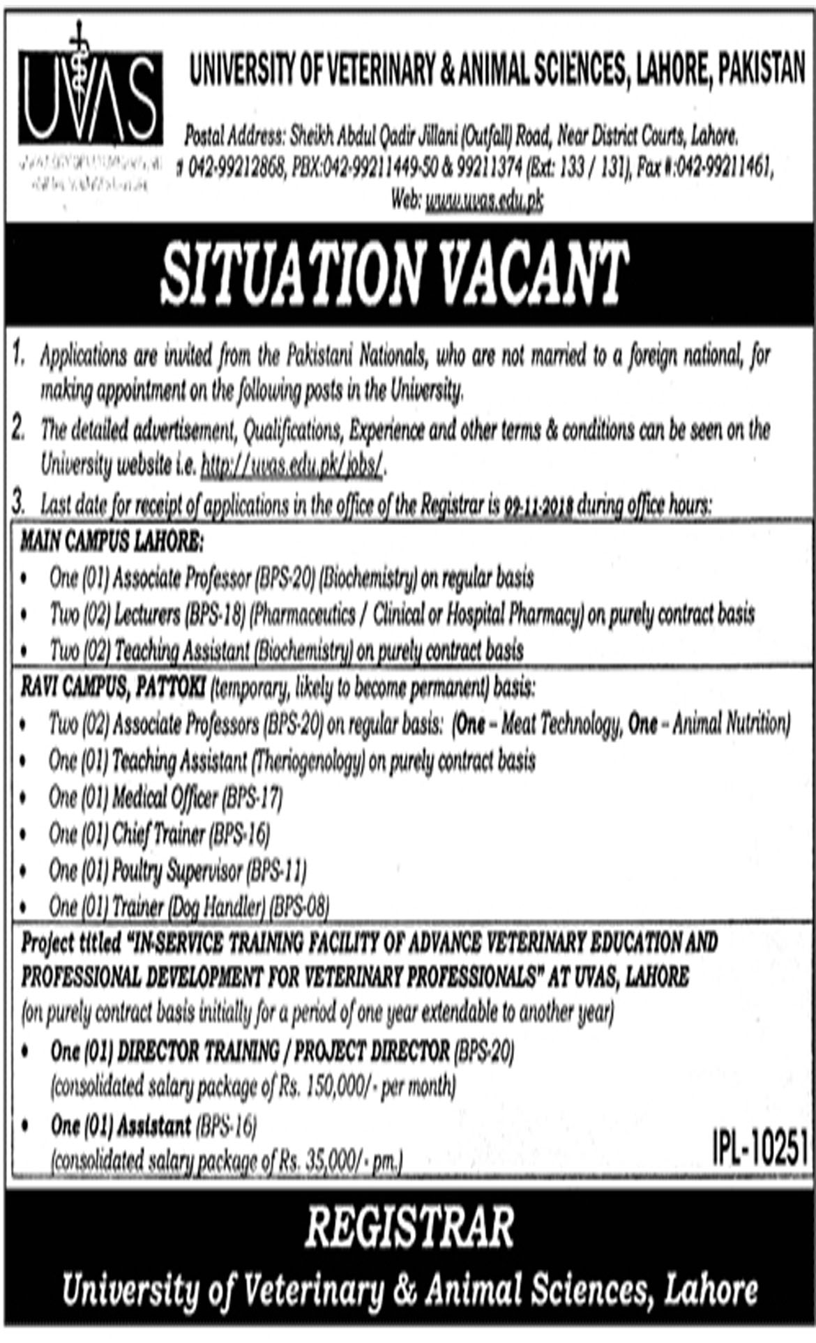 Jobs In University Of Veterinary And Animal Sciences UVAS 23 Oct 2018 Jobs In University Of Veterinary And Animal Sciences UVAS 23 Oct 2018