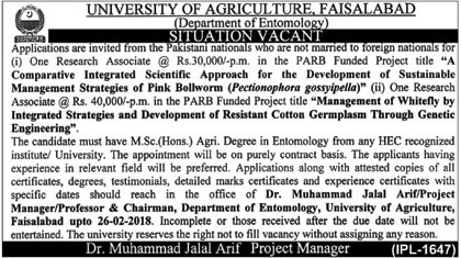 Jobs in Unversity of Agriculture in Faisalabad 08 Feb 2018