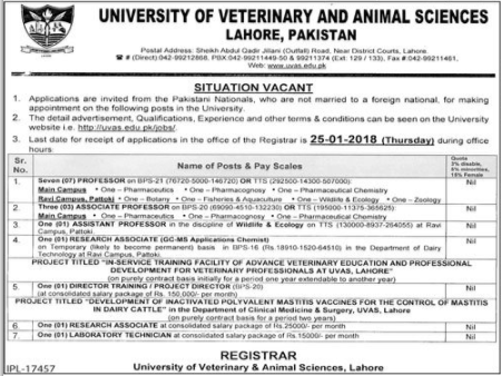 Jobs In Veterinary And Animal Science 01 Jan 2018