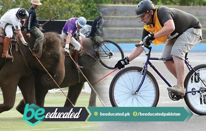 Cycle And Elephant Polo