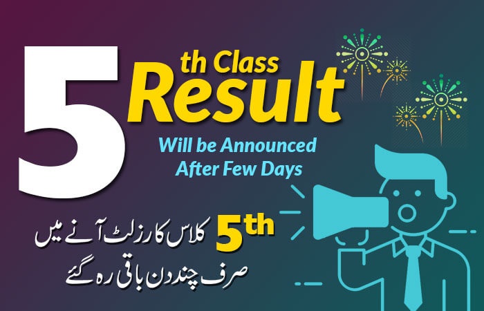 PEC Results 2019 5th Class All Punjab Boards