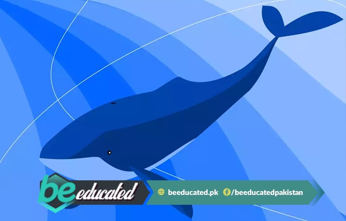 Saudi Arabian Boy Loses His Life Playing Blue Whale Game