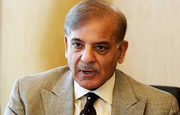 Shahbaz Sharif Denies Claims of Asking Asif Ali Zardari for Help