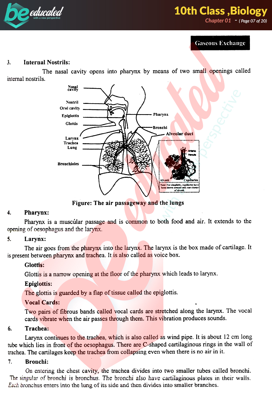 class 10 biology holiday homework