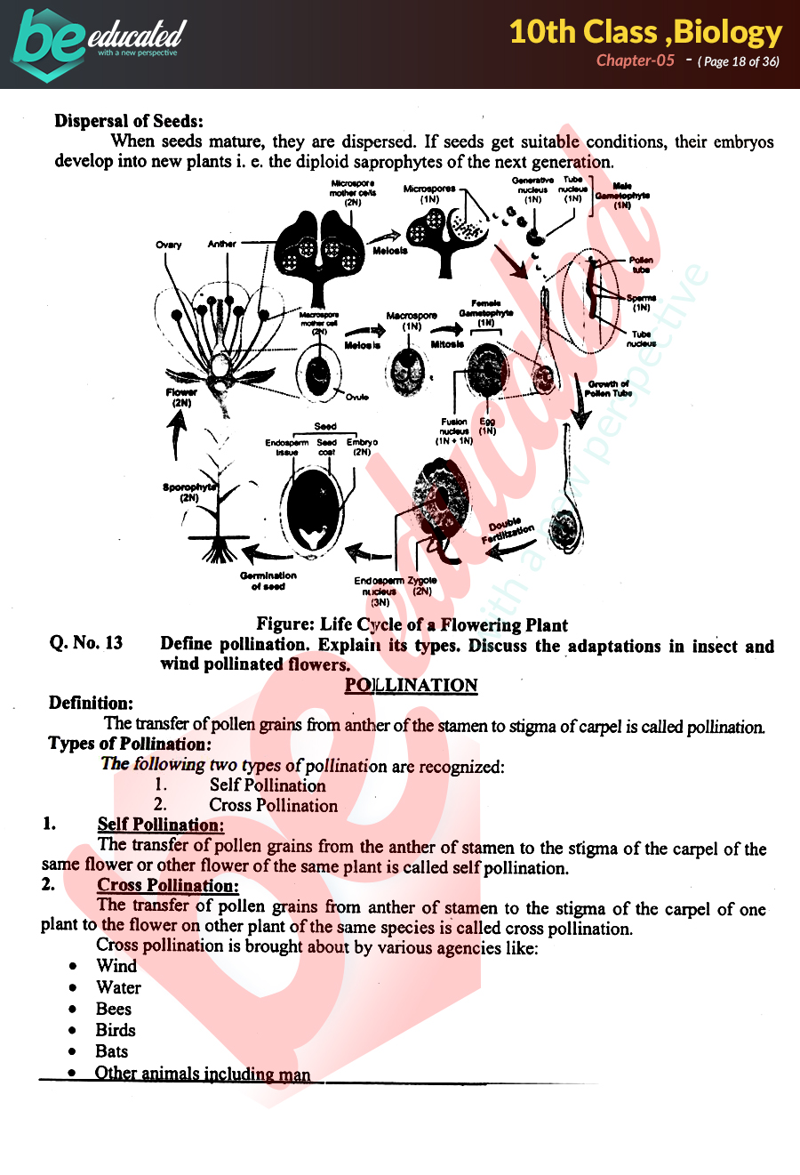 assignment on chapter 5 biology